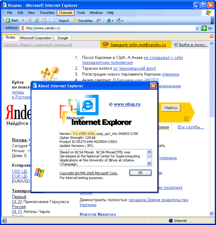 Внешний вид (screenshot) Internet Explorer 7 Rincon alpha